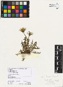 SW_BNB_s3070-05371_IMG-0000000001