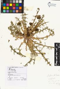 SW_BNB_s3070-05375_IMG-0000000001