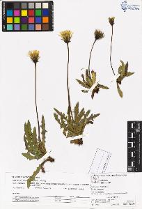 SW_BNB_s3070-05378_IMG-0000000001