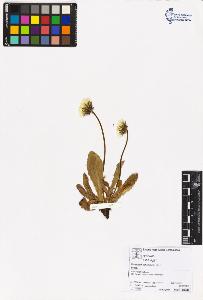 SW_BNB_s3070-05381_IMG-0000000001