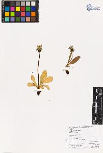 SW_BNB_s3070-05383_IMG-0000000001
