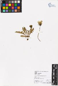 SW_BNB_s3070-05384_IMG-0000000001