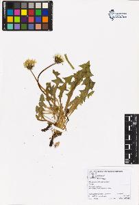 SW_BNB_s3070-05386_IMG-0000000001