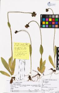 SW_BNB_s3070-05387_IMG-0000000001