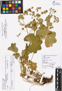 SW_BNB_s3070-05392_IMG-0000000001