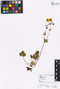 SW_BNB_s3070-05404_IMG-0000000001
