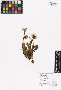 SW_BNB_s3070-05405_IMG-0000000001