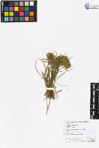 SW_BNB_s3070-05406_IMG-0000000001