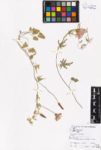 SW_BNB_s3070-05412_IMG-0000000001