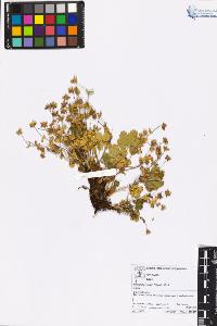 SW_BNB_s3070-05415_IMG-0000000001