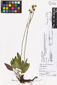SW_BNB_s3070-05418_IMG-0000000001