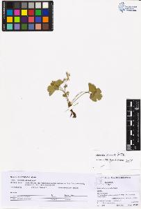 SW_BNB_s3070-05422_IMG-0000000001