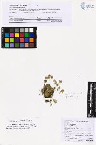 SW_BNB_s3070-05423_IMG-0000000001