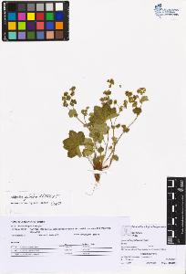 SW_BNB_s3070-05424_IMG-0000000001