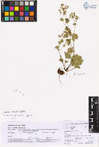 SW_BNB_s3070-05432_IMG-0000000001