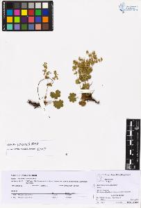 SW_BNB_s3070-05433_IMG-0000000001