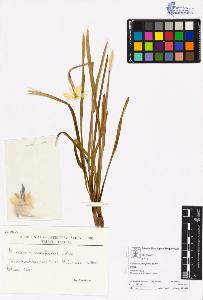 SW_BNB_s3070-05443_IMG-0000000001