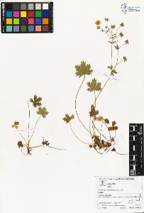 SW_BNB_s3070-05444_IMG-0000000001