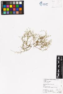 SW_BNB_s3070-05447_IMG-0000000001