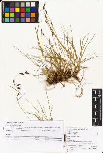 SW_BNB_s3070-05450_IMG-0000000001