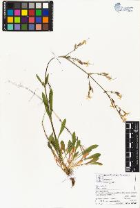 SW_BNB_s3070-05456_IMG-0000000001