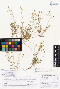 SW_BNB_s3070-05457_IMG-0000000001