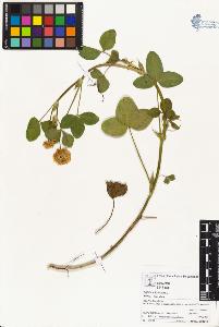 SW_BNB_s3070-05459_IMG-0000000001