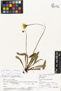 SW_BNB_s3070-05462_IMG-0000000001