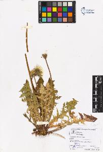 SW_BNB_s3070-05465_IMG-0000000001