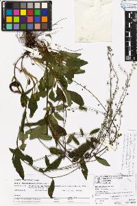 SW_BNB_s3070-05474_IMG-0000000001