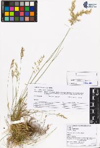 SW_BNB_s3070-05477_IMG-0000000001