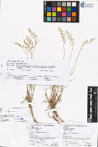 SW_BNB_s3070-05480_IMG-0000000001