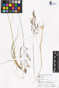 SW_BNB_s3070-05481_IMG-0000000001