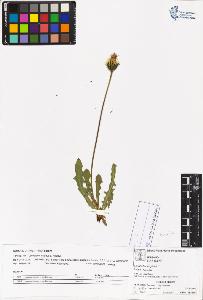 SW_BNB_s3070-05484_IMG-0000000001