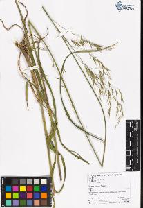 SW_BNB_s3070-05487_IMG-0000000001