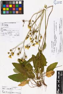 SW_BNB_s3070-05490_IMG-0000000001
