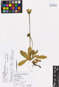 SW_BNB_s3070-05492_IMG-0000000001