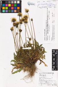 SW_BNB_s3070-05495_IMG-0000000001