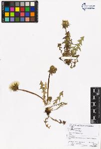 SW_BNB_s3070-05504_IMG-0000000001
