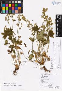 SW_BNB_s3070-05505_IMG-0000000001