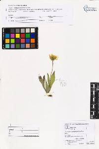 SW_BNB_s3070-05510_IMG-0000000001