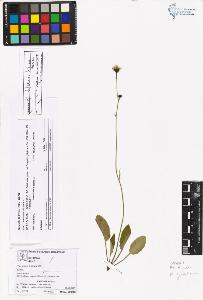 SW_BNB_s3070-05514_IMG-0000000001