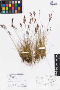 SW_BNB_s3070-05520_IMG-0000000001