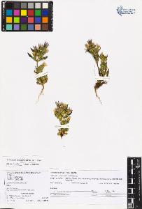 SW_BNB_s3070-05524_IMG-0000000001