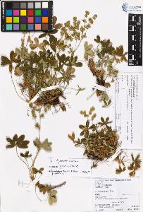 SW_BNB_s3070-05533_IMG-0000000001