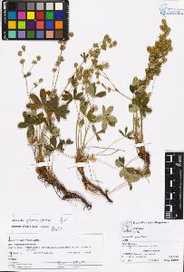 SW_BNB_s3070-05534_IMG-0000000001