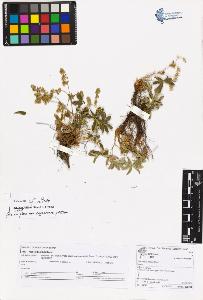 SW_BNB_s3070-05535_IMG-0000000001