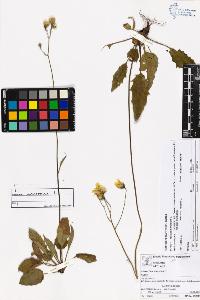 SW_BNB_s3070-05537_IMG-0000000001