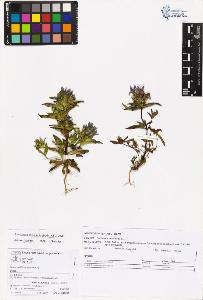 SW_BNB_s3070-05538_IMG-0000000001