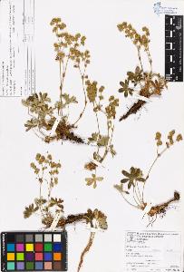 SW_BNB_s3070-05539_IMG-0000000001